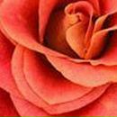 Альбина Гильманова | Уфа