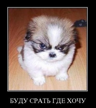 Ян Ковский ˙·٠•●๑۩ $$$ ۩๑●•٠·˙ | Саранск