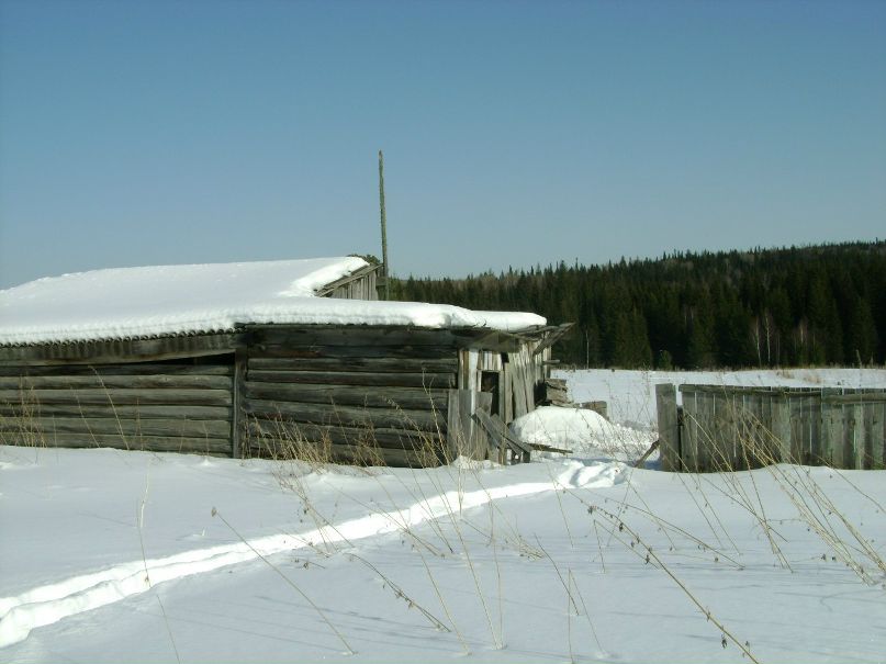 Николай Цибин | Красноярск