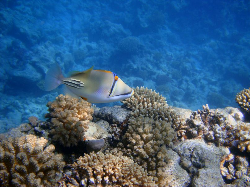 Андрей Еговцев | Краснокамск