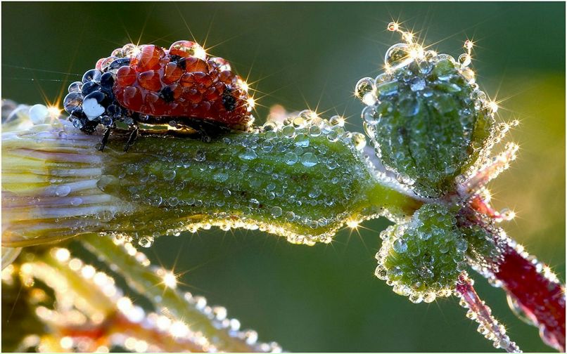 Алёна Зыкова | Новосибирск
