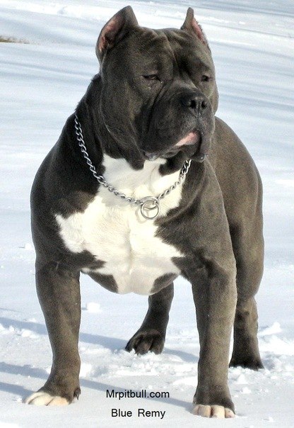 Руслан Мельник | Кривой Рог