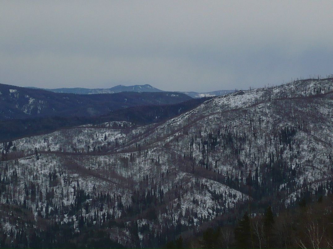 Сергей Рябухин | Калининград