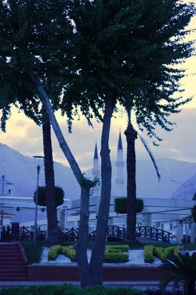 Elvira Fayzullina | Бавлы