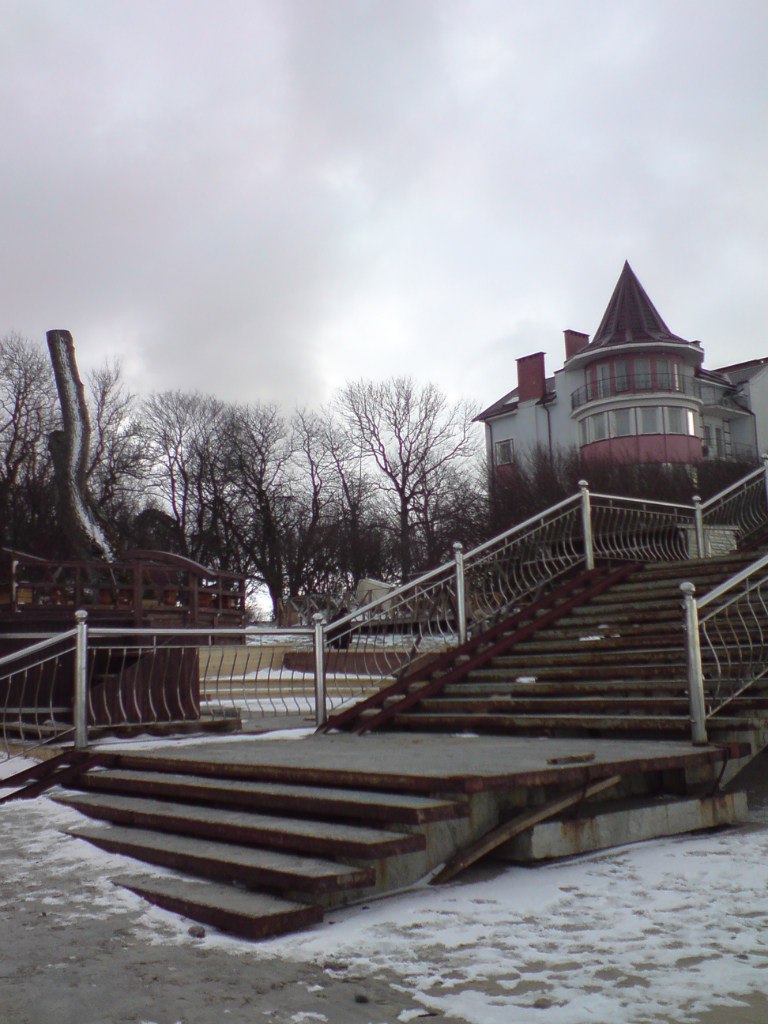 Светлана Шитикова-Гуськова | Калининград