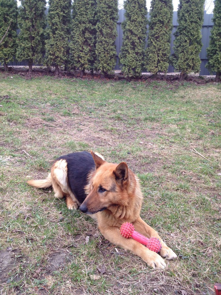 Стас Лопатинский | Иерусалим