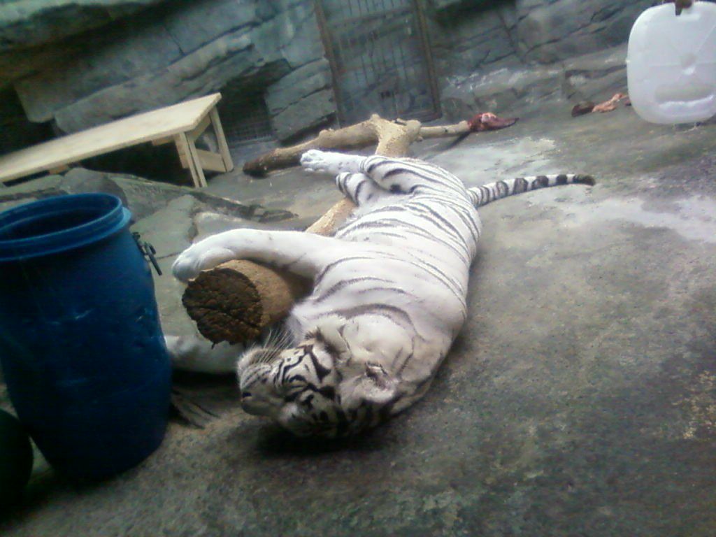 Фархат Байрамов | Москва