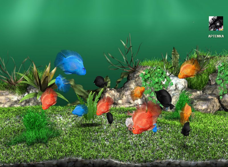 Александр Терёхин николаевич | 