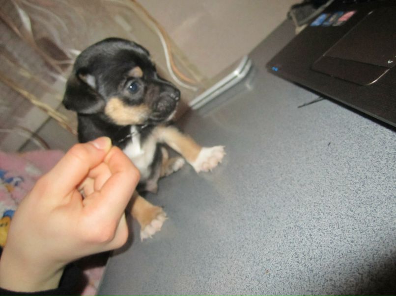 Виктория Смольникова | Краснодар