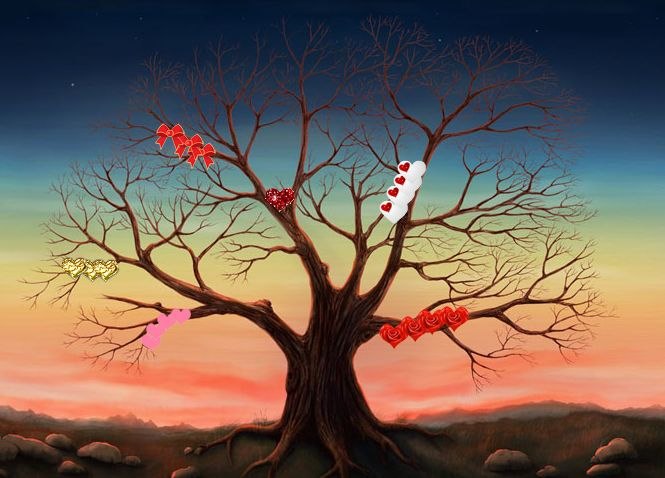 Катя Шаповалова | Тольятти