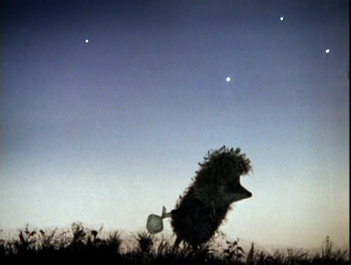 Екатерина Грибова | Санкт-Петербург