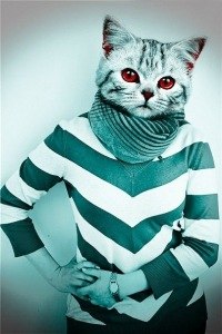 Денис Коршун | 