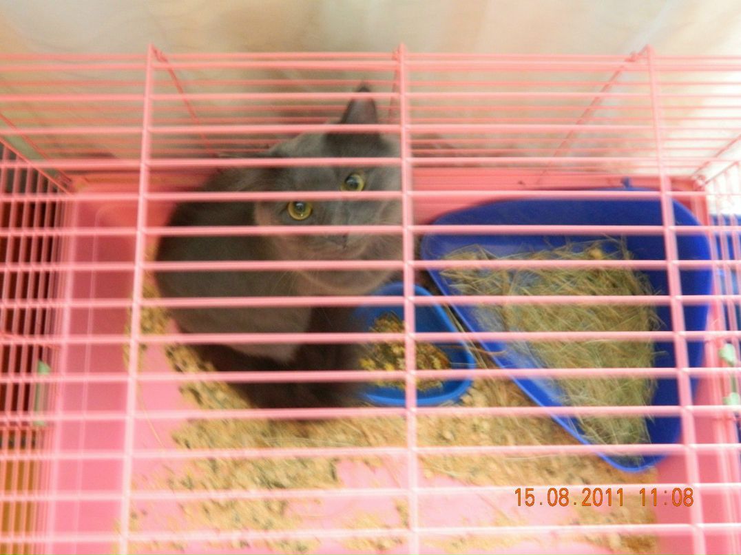 Евгений Мельниченко W | Челябинск