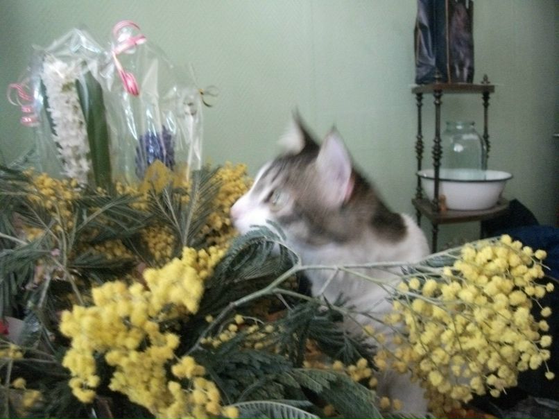 Тимофей Архангельский КРАСАВЧИК | Одинцово (деревня)