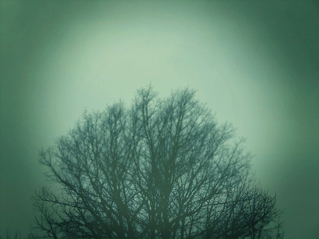 Алёна Богданова | Воронеж