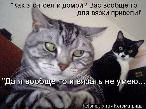 Тимур Баллес | 