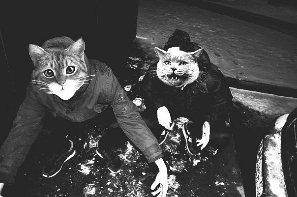 Дима Крылов | Липецк