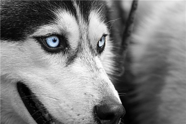 Михаил Ведерников | Москва