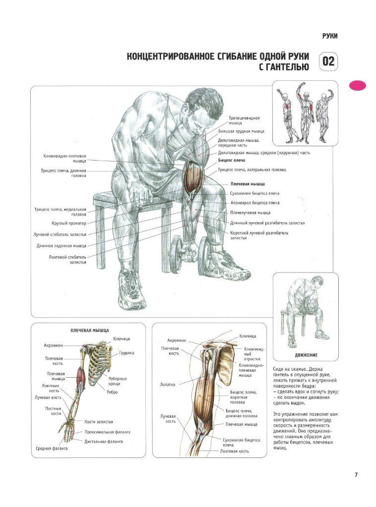 Николай Яковенко | Новогуйвинское