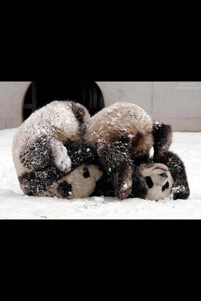 Irene Grigoryeva | Москва