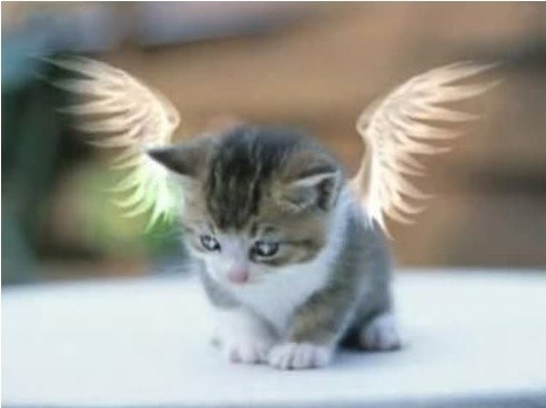 Влад Прохоров | Одесса