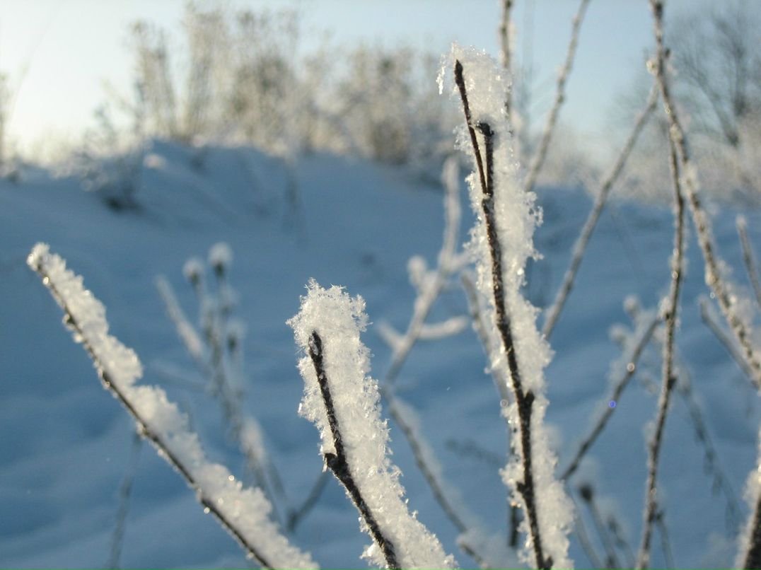 Андрей Панов | Москва