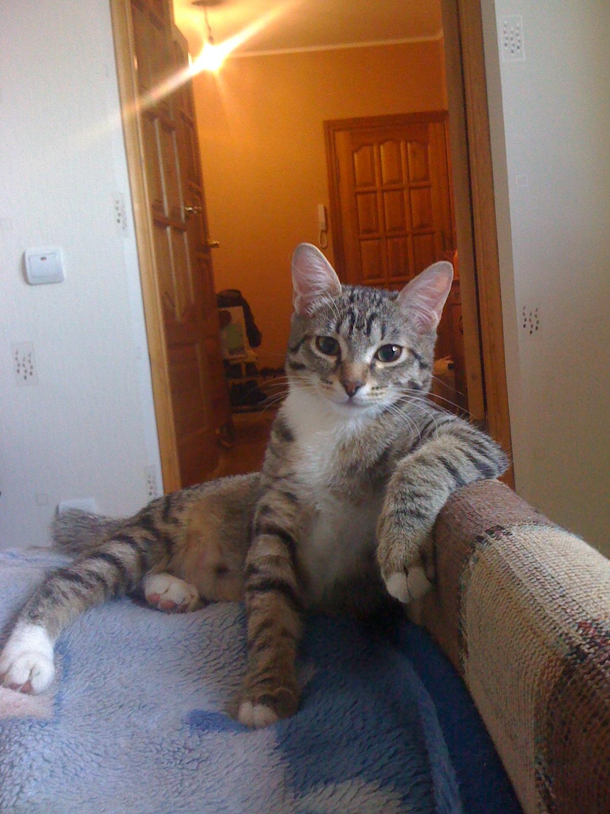 Фото профиля