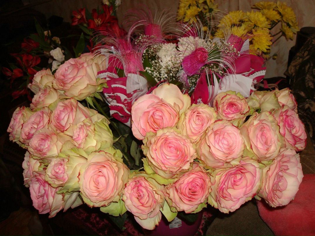 Надежда Сидорова | Петроград