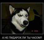 Фотография Vova Mashalk