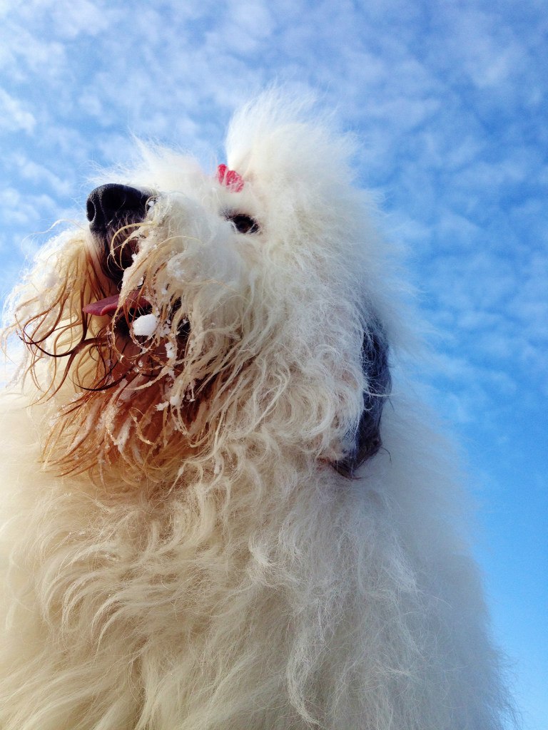 Евгения Гуденко | Москва