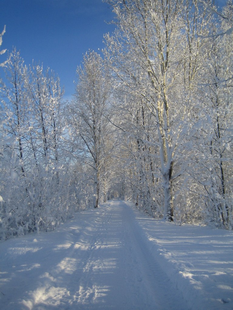 Татьяна Мелкозерова | Екатеринбург