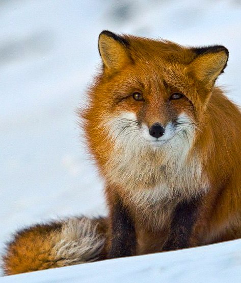 Евгений Шакиров | Санкт-Петербург