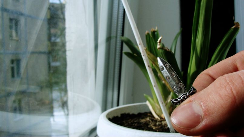 Владимир Шапран | Киев