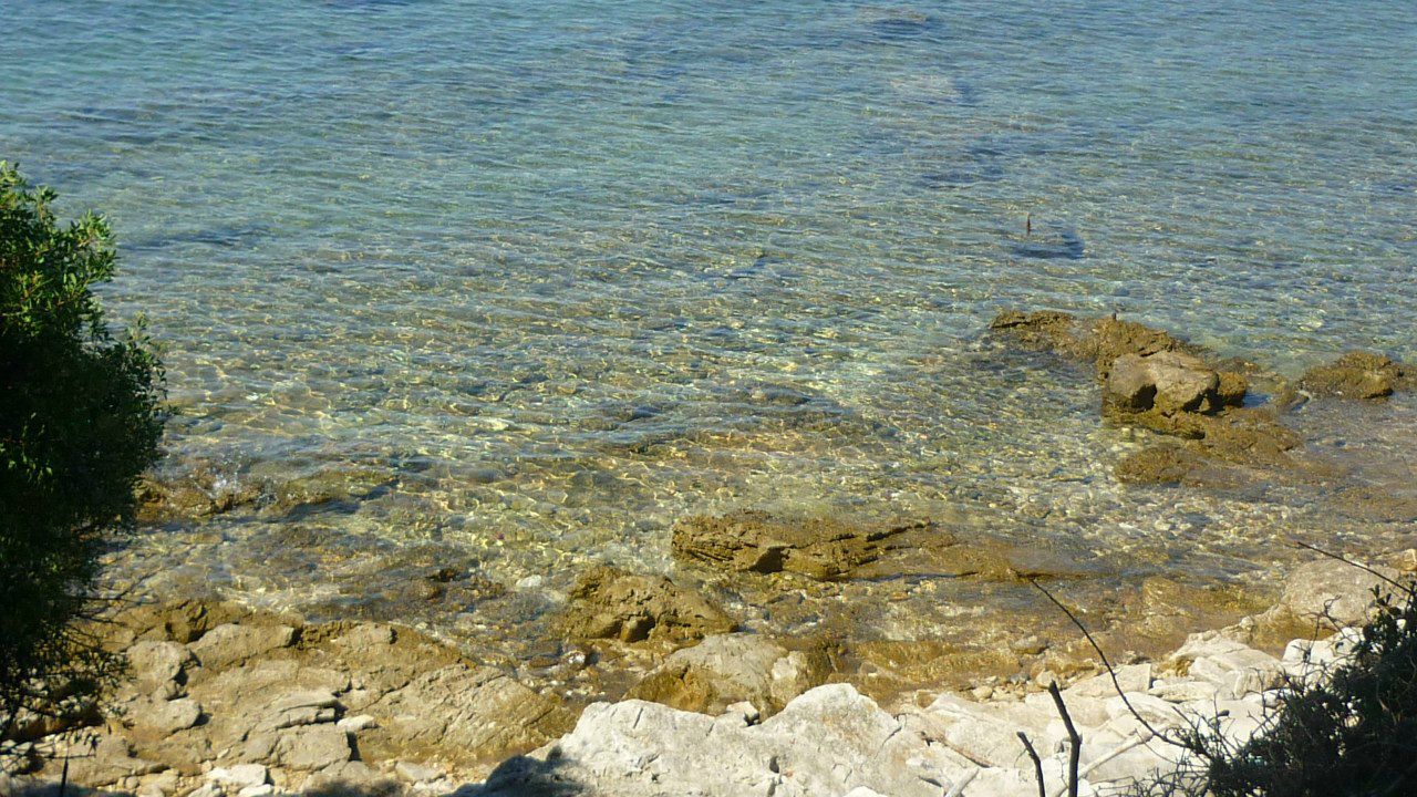 Юрий Юша | Ростов-на-Дону