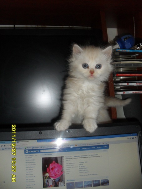 №30, Таня Лаворенко, 34 года, Великие Луки №30, Таня Лаворенко, 34 года, Великие Луки