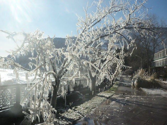 Виктор Тарасюк | Винница