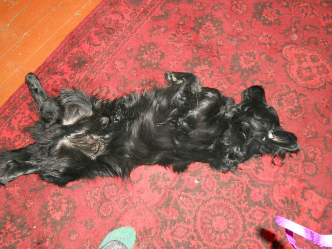 Алла Любовина | Петрозаводск