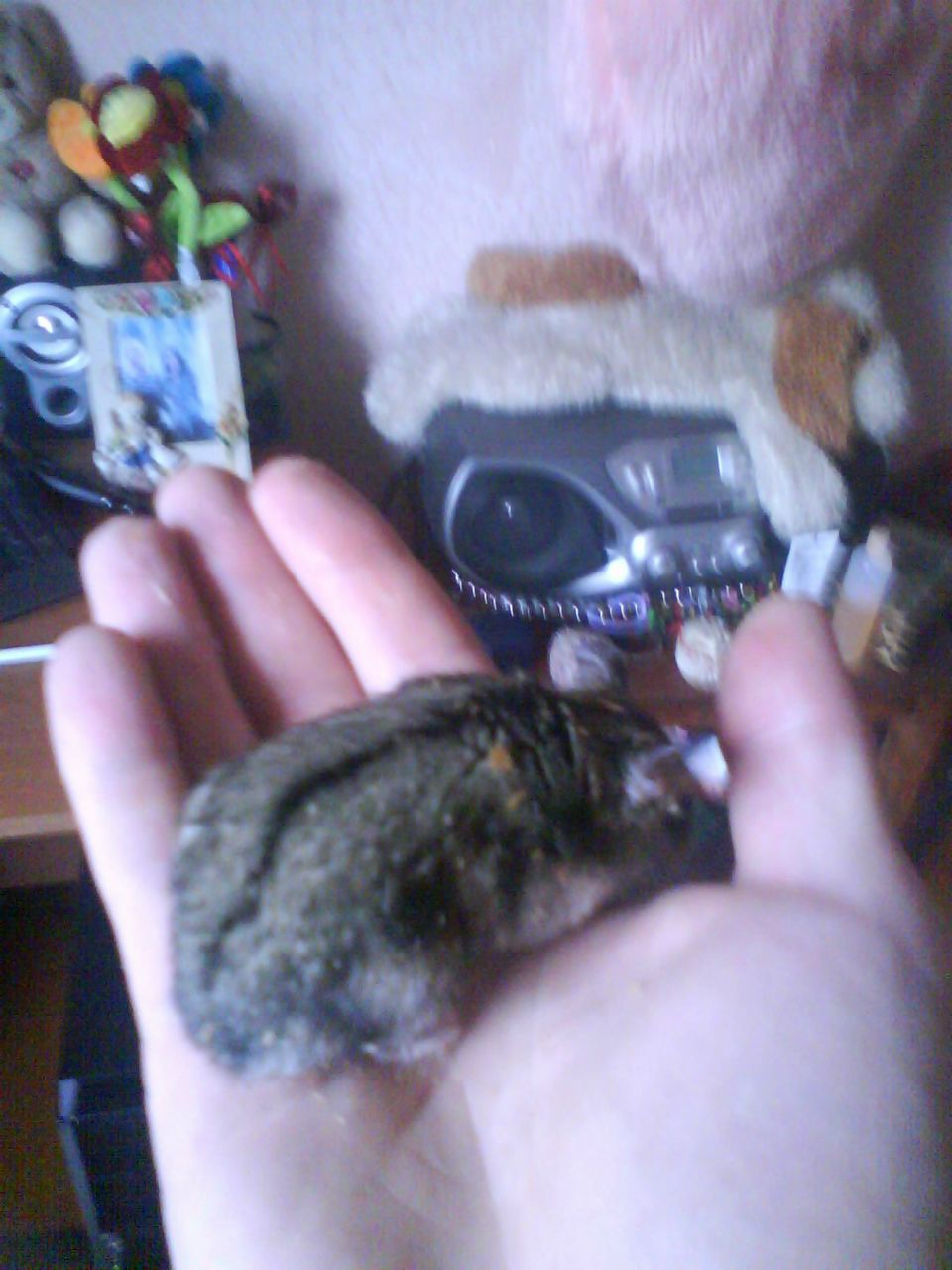 Александр Качан Юрьевич | Пинск