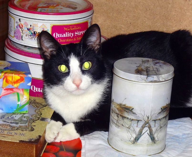 Наталья Кудрявцева | Сургут