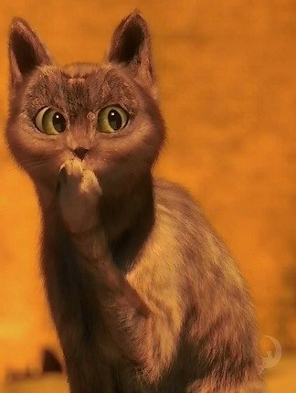 Анастасия Зубакова | Мончегорск