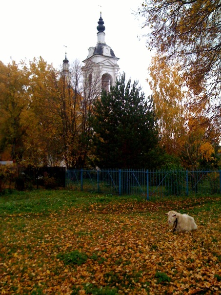 №11, Андрей Мокеев, Димитровград №11, Андрей Мокеев, Димитровград