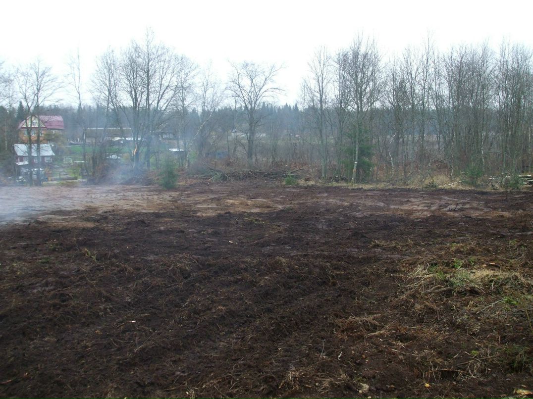 Михаил Андриенко | Санкт-Петербург