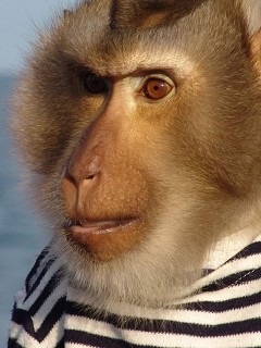 №11, Александр Каримов, Нижневартовск №11, Александр Каримов, Нижневартовск