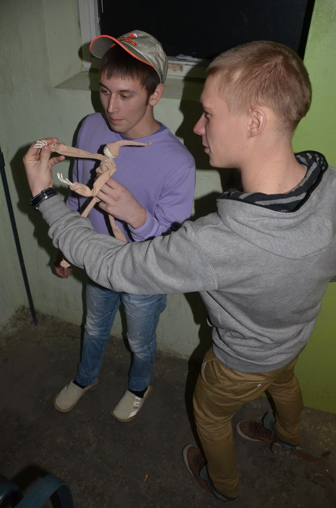 Андрюха Химов | Краснознаменск