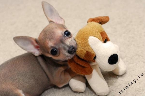 №96, Екатерина Ходжаева, Зеленоград №96, Екатерина Ходжаева, Зеленоград