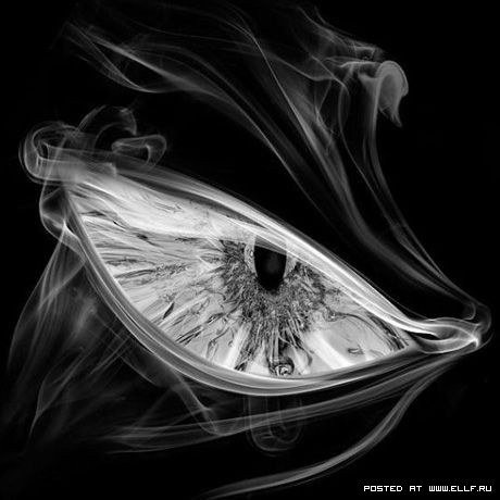 №6, Саня Пашков №6, Саня Пашков