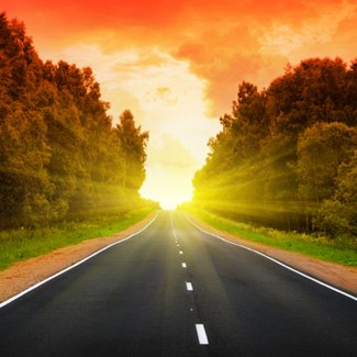 Коля Безпалько The Champion | Киев