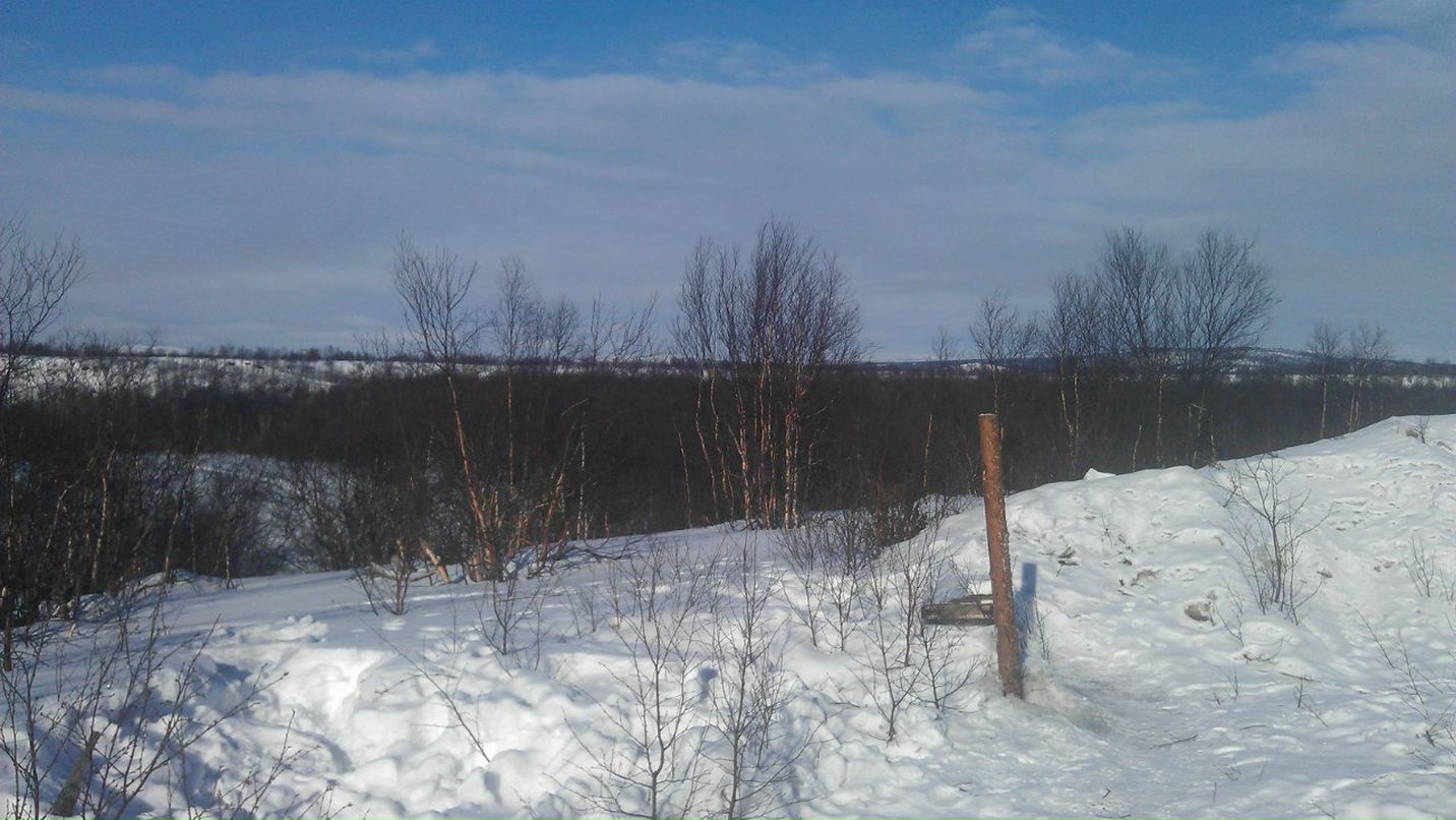 Дмитрий Ивкин | Сокол