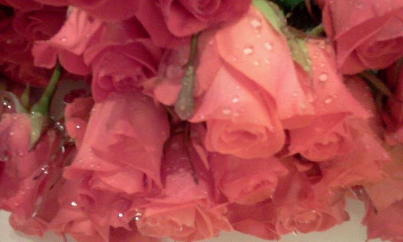 Ольга Евланова | Киев