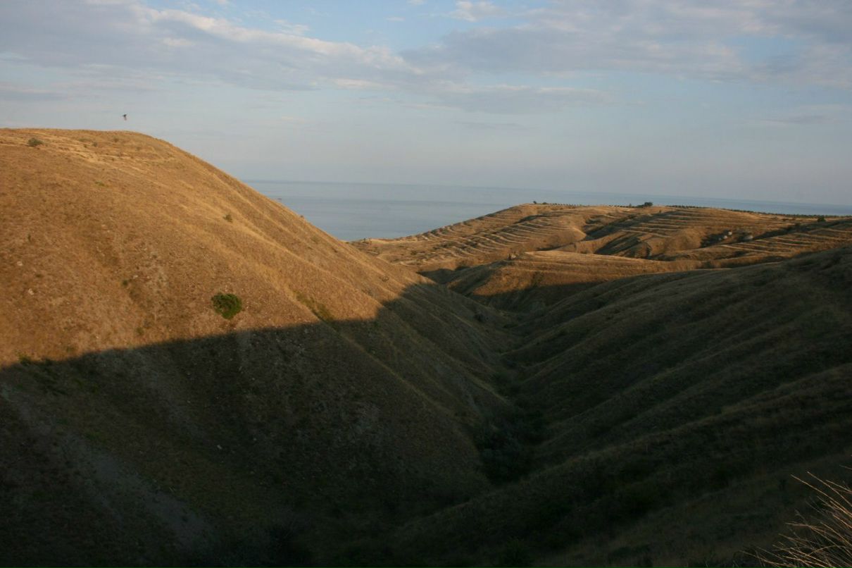 Julian Murasov | Москва